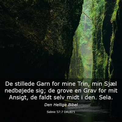 Picture 03 - Salme 57:7 DA1871 - De stillede Garn for mine Trin, min Sjæl - Bible Verse Picture