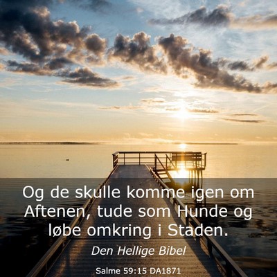 Picture 03 - Salme 59:15 DA1871 - Og de skulle komme igen om Aftenen, tude som - Bible Verse Picture