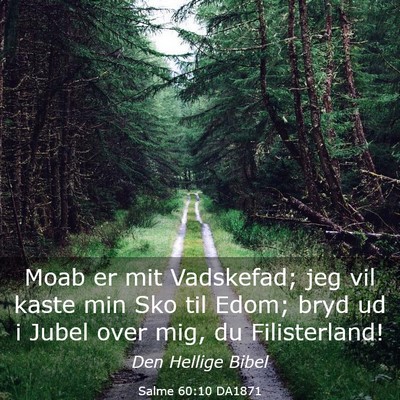 Picture 03 - Salme 60:10 DA1871 - Moab er mit Vadskefad; jeg vil kaste min Sko til - Bible Verse Picture