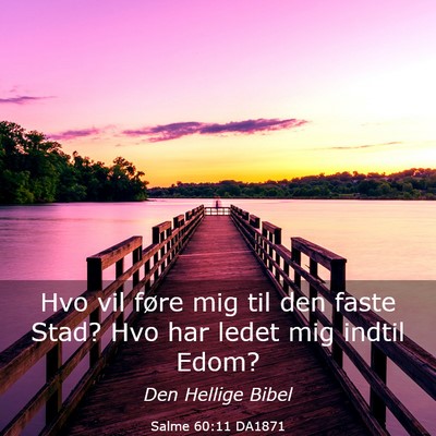 Picture 03 - Salme 60:11 DA1871 - Hvo vil føre mig til den faste Stad? Hvo har - Bible Verse Picture