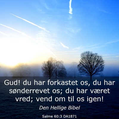 Picture 03 - Salme 60:3 DA1871 - Gud! du har forkastet os, du har sønderrevet os; - Bible Verse Picture