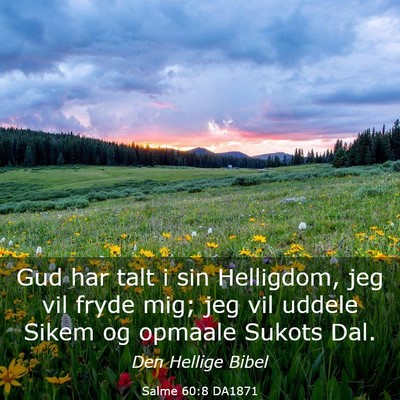 Picture 03 - Salme 60:8 DA1871 - Gud har talt i sin Helligdom, jeg vil fryde mig; - Bible Verse Picture