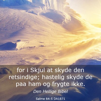 Picture 03 - Salme 64:5 DA1871 - for i Skjul at skyde den retsindige; hastelig - Bible Verse Picture