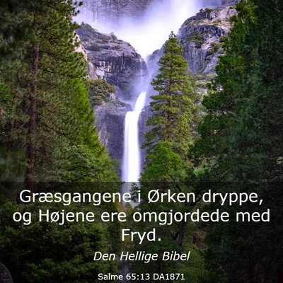 Picture 03 - Salme 65:13 DA1871 - Græsgangene i Ørken dryppe, og Højene ere - Bible Verse Picture