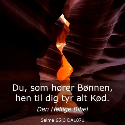 Picture 03 - Salme 65:3 DA1871 - Du, som hører Bønnen, hen til dig tyr alt - Bible Verse Picture