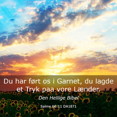 Picture 03 - Salme 66:11 DA1871 - Du har ført os i Garnet, du lagde et Tryk paa - Bible Verse Picture