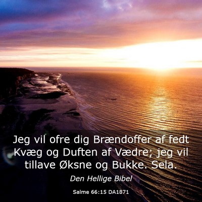 Picture 03 - Salme 66:15 DA1871 - Jeg vil ofre dig Brændoffer af fedt Kvæg og - Bible Verse Picture