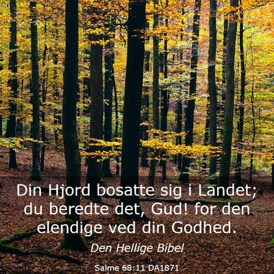 Picture 03 - Salme 68:11 DA1871 - Din Hjord bosatte sig i Landet; du beredte det, - Bible Verse Picture