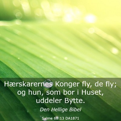 Picture 03 - Salme 68:13 DA1871 - Hærskarernes Konger fly, de fly; og hun, som bor - Bible Verse Picture