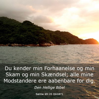 Picture 03 - Salme 69:20 DA1871 - Du kender min Forhaanelse og min Skam og min - Bible Verse Picture