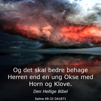 Picture 03 - Salme 69:32 DA1871 - Og det skal bedre behage Herren end en ung Okse - Bible Verse Picture