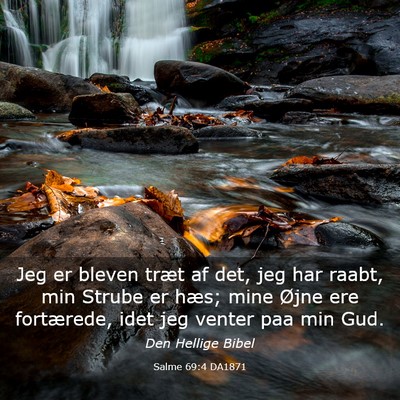 Picture 03 - Salme 69:4 DA1871 - Jeg er bleven træt af det, jeg har raabt, min - Bible Verse Picture