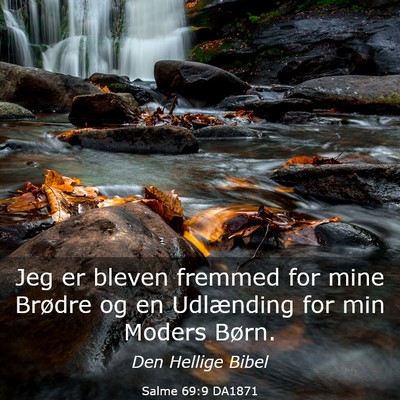 Picture 03 - Salme 69:9 DA1871 - Jeg er bleven fremmed for mine Brødre og en - Bible Verse Picture