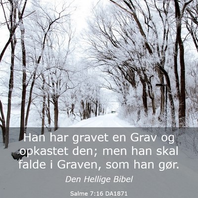 Picture 03 - Salme 7:16 DA1871 - Han har gravet en Grav og opkastet den; men han - Bible Verse Picture