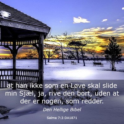 Picture 03 - Salme 7:3 DA1871 - at han ikke som en Løve skal slide min Sjæl, - Bible Verse Picture