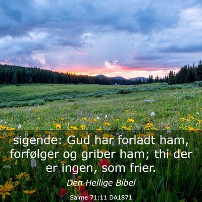 Picture 03 - Salme 71:11 DA1871 - sigende: Gud har forladt ham, forfølger og - Bible Verse Picture