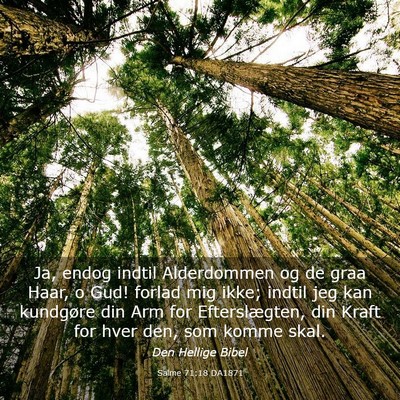 Picture 03 - Salme 71:18 DA1871 - Ja, endog indtil Alderdommen og de graa Haar, o - Bible Verse Picture