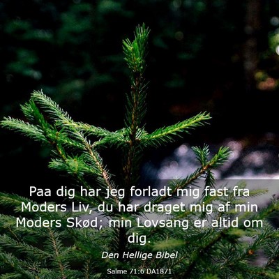 Picture 03 - Salme 71:6 DA1871 - Paa dig har jeg forladt mig fast fra Moders Liv, - Bible Verse Picture