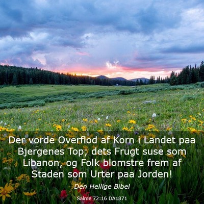 Picture 03 - Salme 72:16 DA1871 - Der vorde Overflod af Korn i Landet paa Bjergenes - Bible Verse Picture