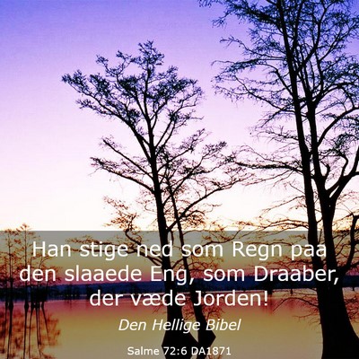 Picture 03 - Salme 72:6 DA1871 - Han stige ned som Regn paa den slaaede Eng, som - Bible Verse Picture