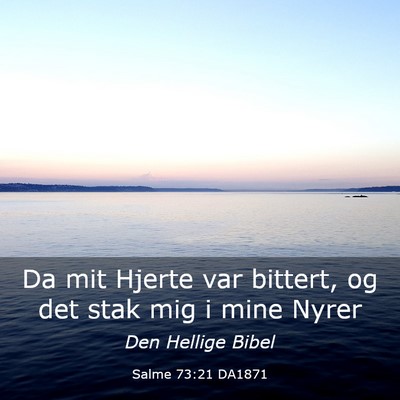 Picture 03 - Salme 73:21 DA1871 - Da mit Hjerte var bittert, og det stak mig i mine - Bible Verse Picture