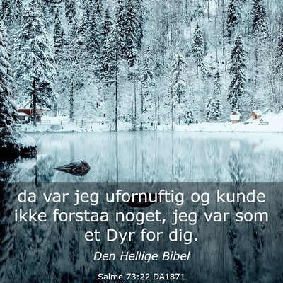 Picture 03 - Salme 73:22 DA1871 - da var jeg ufornuftig og kunde ikke forstaa - Bible Verse Picture