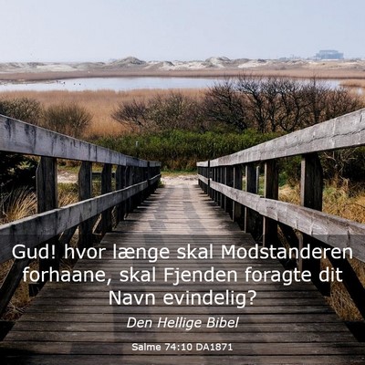 Picture 03 - Salme 74:10 DA1871 - Gud! hvor længe skal Modstanderen forhaane, skal - Bible Verse Picture