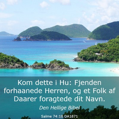 Picture 03 - Salme 74:18 DA1871 - Kom dette i Hu: Fjenden forhaanede Herren, og et - Bible Verse Picture
