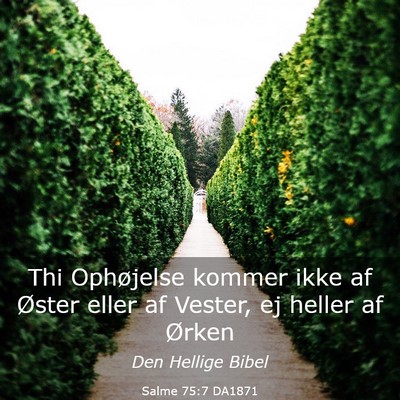 Picture 03 - Salme 75:7 DA1871 - Thi Ophøjelse kommer ikke af Øster eller af - Bible Verse Picture