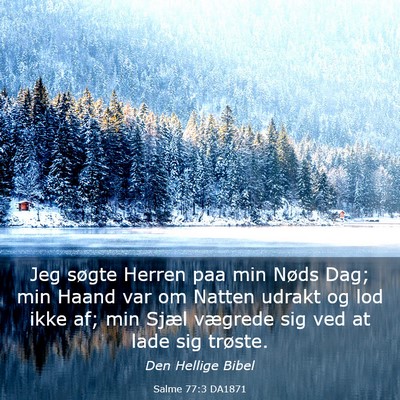 Picture 03 - Salme 77:3 DA1871 - Jeg søgte Herren paa min Nøds Dag; min Haand - Bible Verse Picture