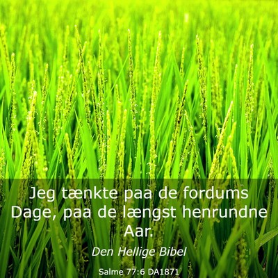 Picture 03 - Salme 77:6 DA1871 - Jeg tænkte paa de fordums Dage, paa de længst - Bible Verse Picture