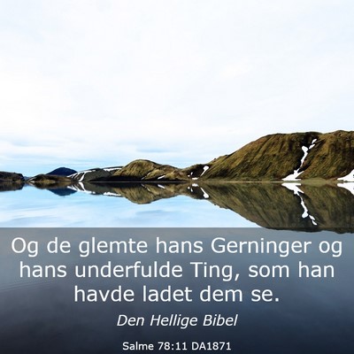 Picture 03 - Salme 78:11 DA1871 - Og de glemte hans Gerninger og hans underfulde - Bible Verse Picture