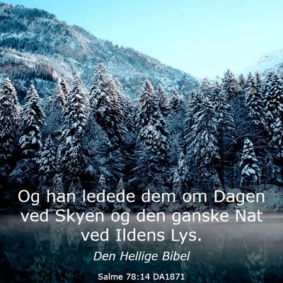 Picture 03 - Salme 78:14 DA1871 - Og han ledede dem om Dagen ved Skyen og den - Bible Verse Picture
