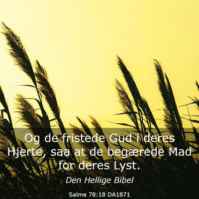 Picture 03 - Salme 78:18 DA1871 - Og de fristede Gud i deres Hjerte, saa at de - Bible Verse Picture