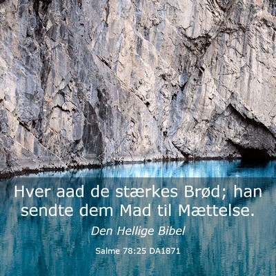 Picture 03 - Salme 78:25 DA1871 - Hver aad de stærkes Brød; han sendte dem Mad - Bible Verse Picture
