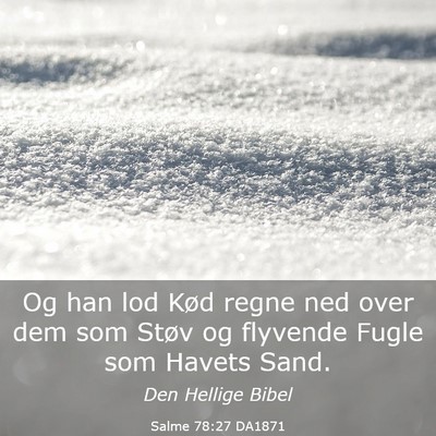 Picture 03 - Salme 78:27 DA1871 - Og han lod Kød regne ned over dem som Støv og - Bible Verse Picture