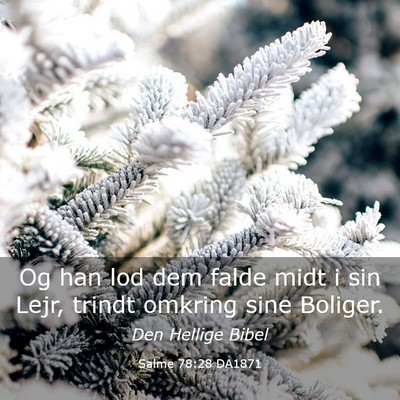 Picture 03 - Salme 78:28 DA1871 - Og han lod dem falde midt i sin Lejr, trindt - Bible Verse Picture