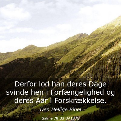 Picture 03 - Salme 78:33 DA1871 - Derfor lod han deres Dage svinde hen i - Bible Verse Picture