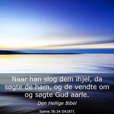 Picture 03 - Salme 78:34 DA1871 - Naar han slog dem ihjel, da søgte de ham, og de - Bible Verse Picture