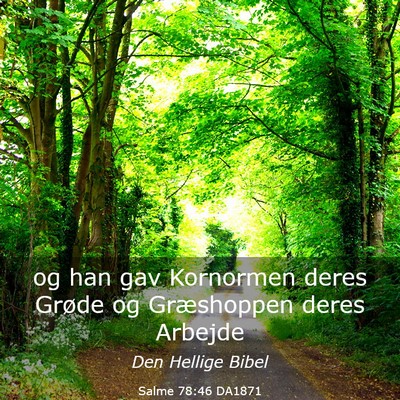 Picture 03 - Salme 78:46 DA1871 - og han gav Kornormen deres Grøde og Græshoppen - Bible Verse Picture