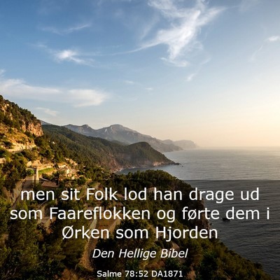 Picture 03 - Salme 78:52 DA1871 - men sit Folk lod han drage ud som Faareflokken og - Bible Verse Picture