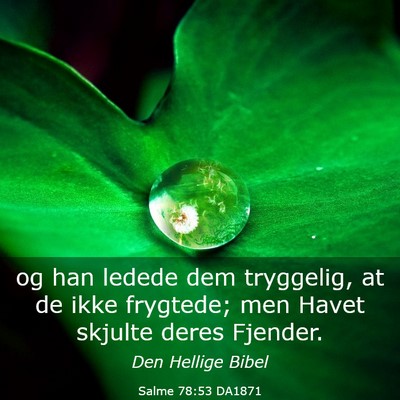 Picture 03 - Salme 78:53 DA1871 - og han ledede dem tryggelig, at de ikke frygtede; - Bible Verse Picture