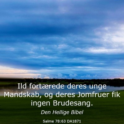 Picture 03 - Salme 78:63 DA1871 - Ild fortærede deres unge Mandskab, og deres - Bible Verse Picture