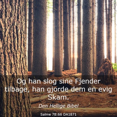 Picture 03 - Salme 78:66 DA1871 - Og han slog sine Fjender tilbage, han gjorde dem - Bible Verse Picture
