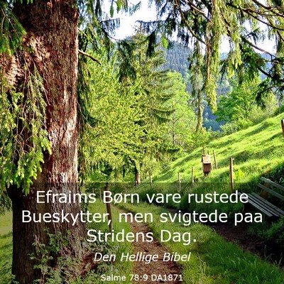 Picture 03 - Salme 78:9 DA1871 - Efraims Børn vare rustede Bueskytter, men - Bible Verse Picture