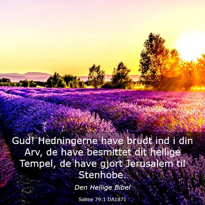 Picture 03 - Salme 79:1 DA1871 - Gud! Hedningerne have brudt ind i din Arv, de - Bible Verse Picture