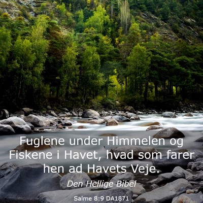 Picture 03 - Salme 8:9 DA1871 - Fuglene under Himmelen og Fiskene i Havet, hvad - Bible Verse Picture
