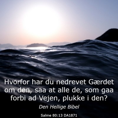 Picture 03 - Salme 80:13 DA1871 - Hvorfor har du nedrevet Gærdet om den, saa at - Bible Verse Picture