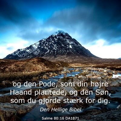 Picture 03 - Salme 80:16 DA1871 - og den Pode, som din højre Haand plantede, og - Bible Verse Picture