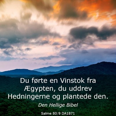 Picture 03 - Salme 80:9 DA1871 - Du førte en Vinstok fra Ægypten, du uddrev - Bible Verse Picture